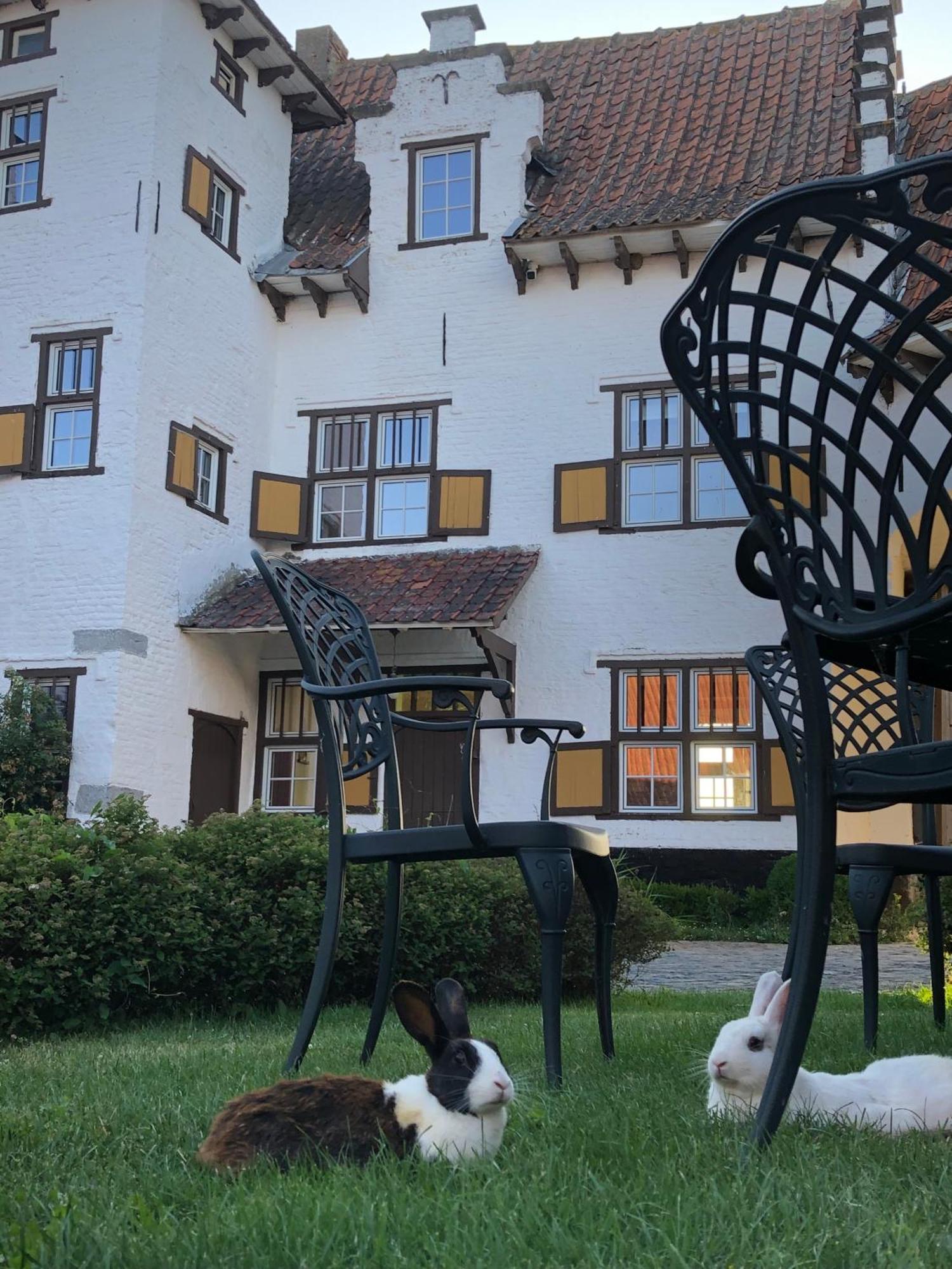 Ferme Delgueule Hotel Tournai Ngoại thất bức ảnh